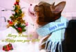 2017Xmascard2.jpg